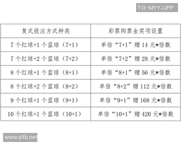 探索双彩论坛3D字谜专区的奥秘与乐趣，揭示字谜背后的智慧与技巧